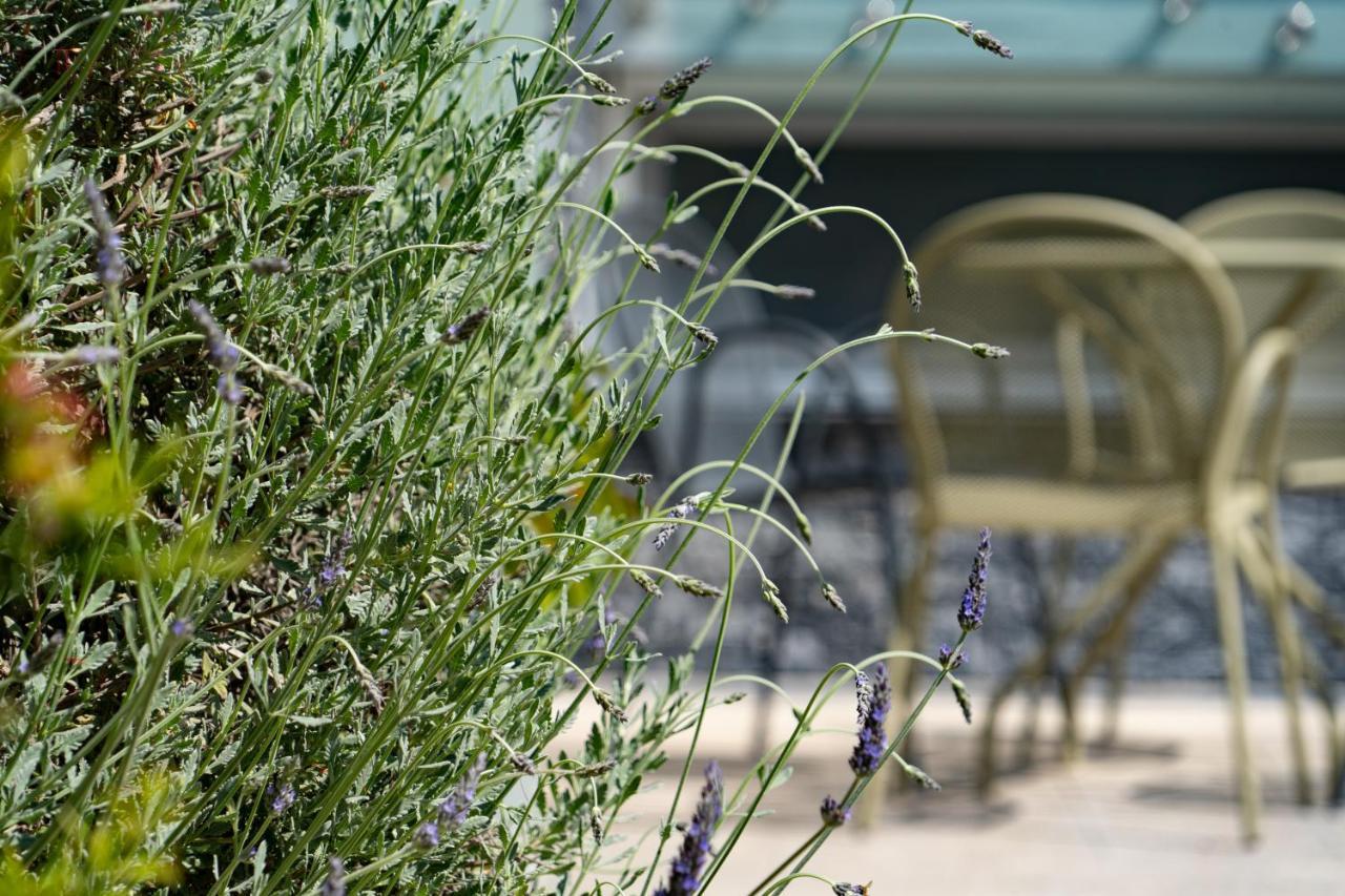 Edem Luxury Apartments Néa Péramos 外观 照片